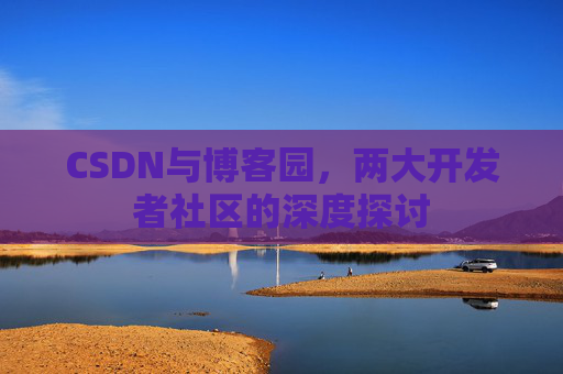 CSDN与博客园，两大开发者社区的深度探讨